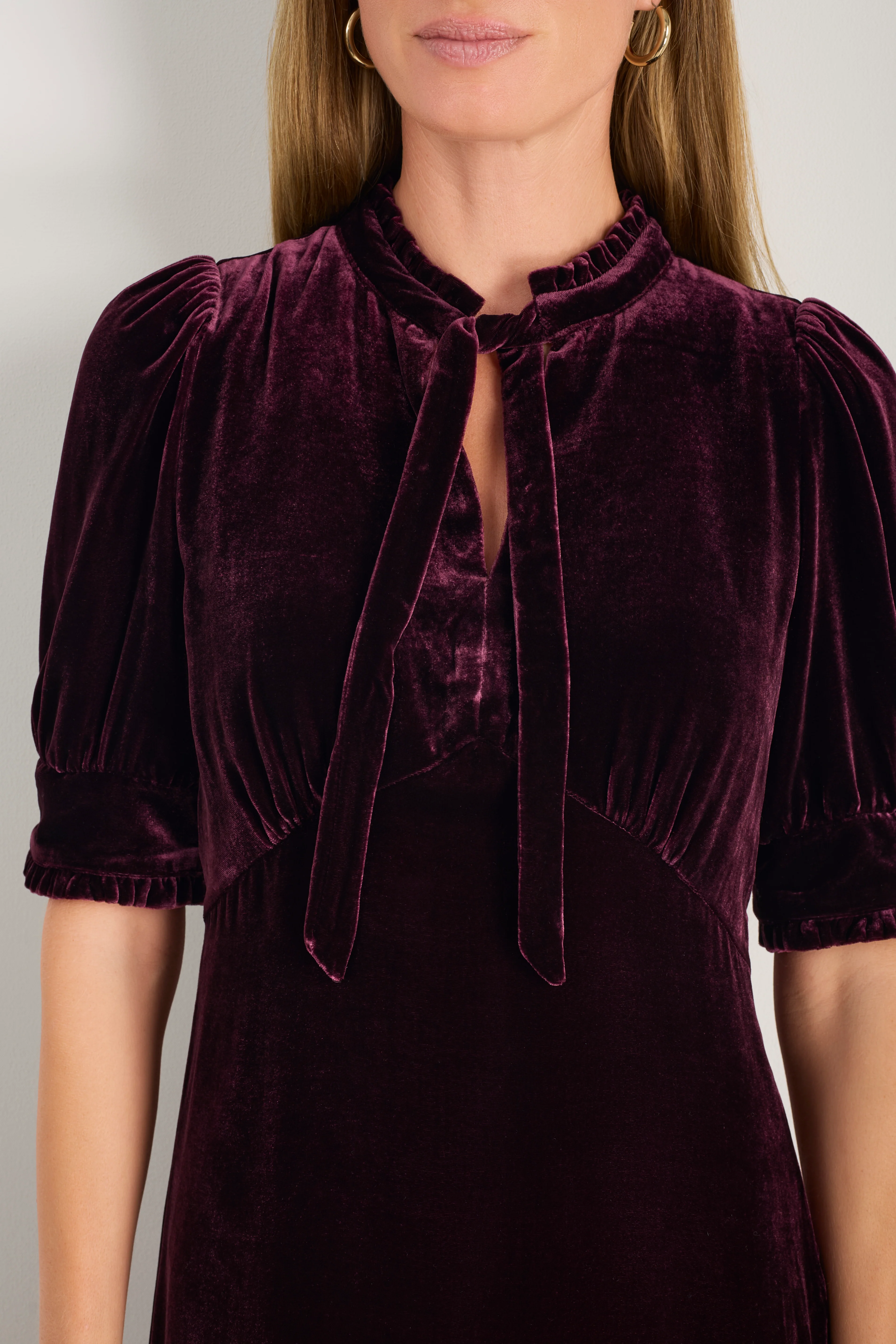 Paulina Silk Velvet Dress - Deep Fig - Image 2